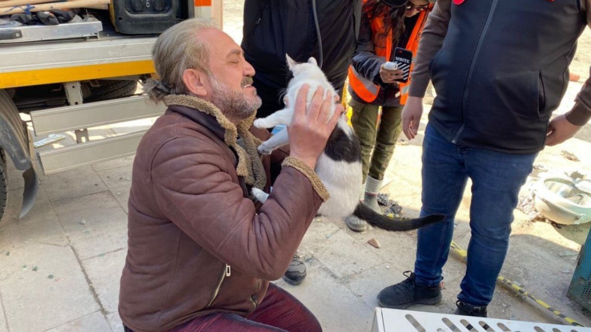 Diyarbakır’daki Galeria Sitesi’nde kurtarılan kedi sayısı 12’ye yükseldi