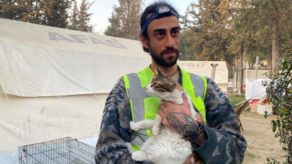 Deprem bölgesine gönüllü gidip 50 hayvanın canını kurtardı