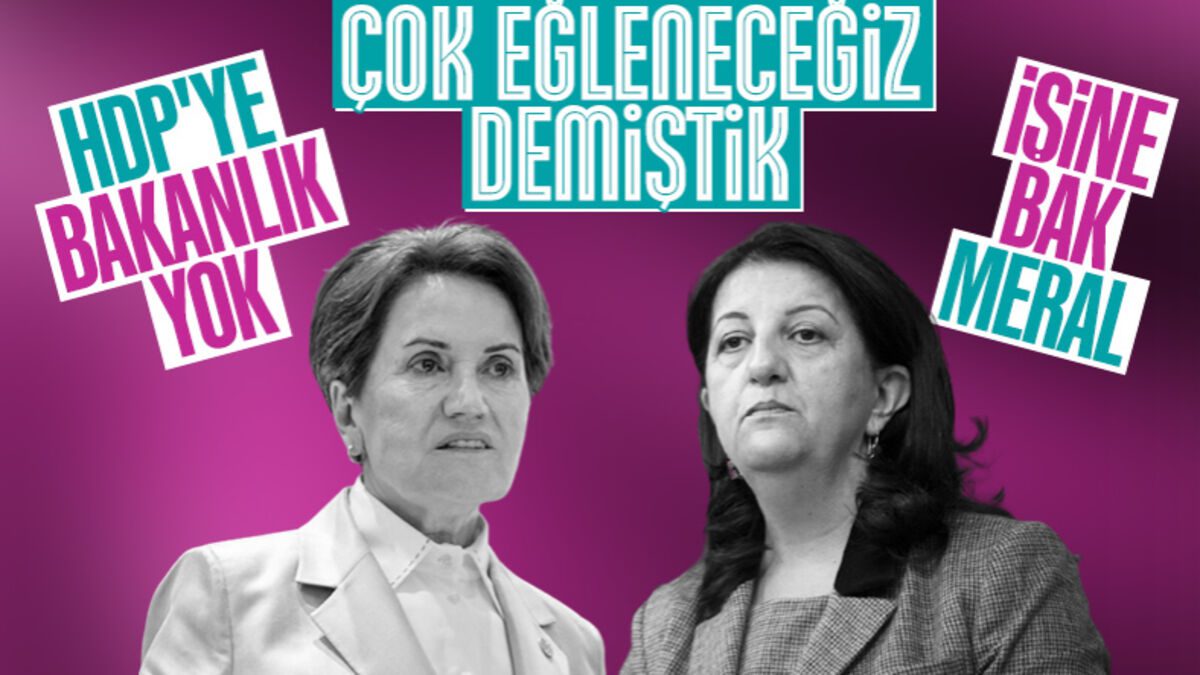 HDP’den Meral Akşener’e: Herkes işine baksın