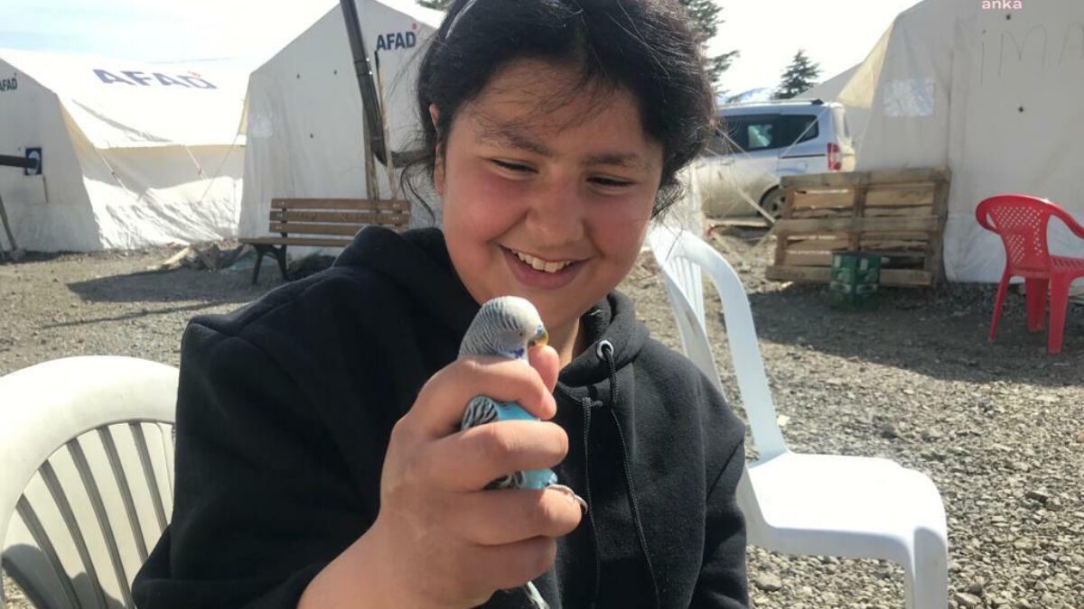 Malatyalı depremzede kız enkazdan çıkardığı kuşlarını yanından ayırmıyor