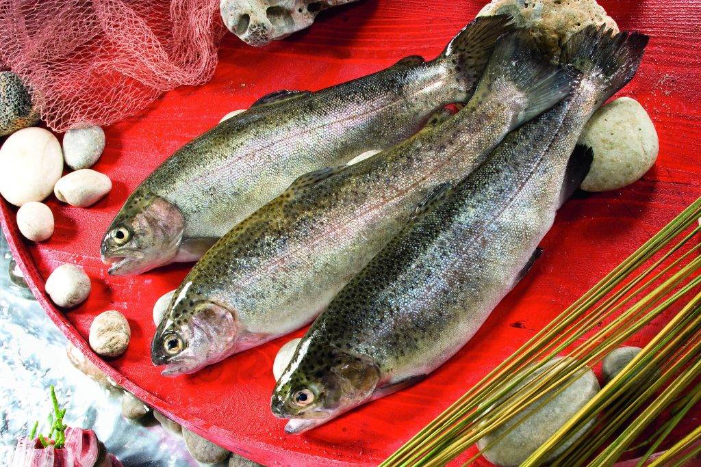 Balık Tüketimi Kalp Sağlığını Koruyor