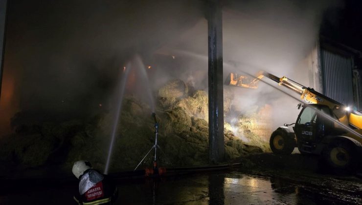Amasya’da çiftlikte korkutan yangın