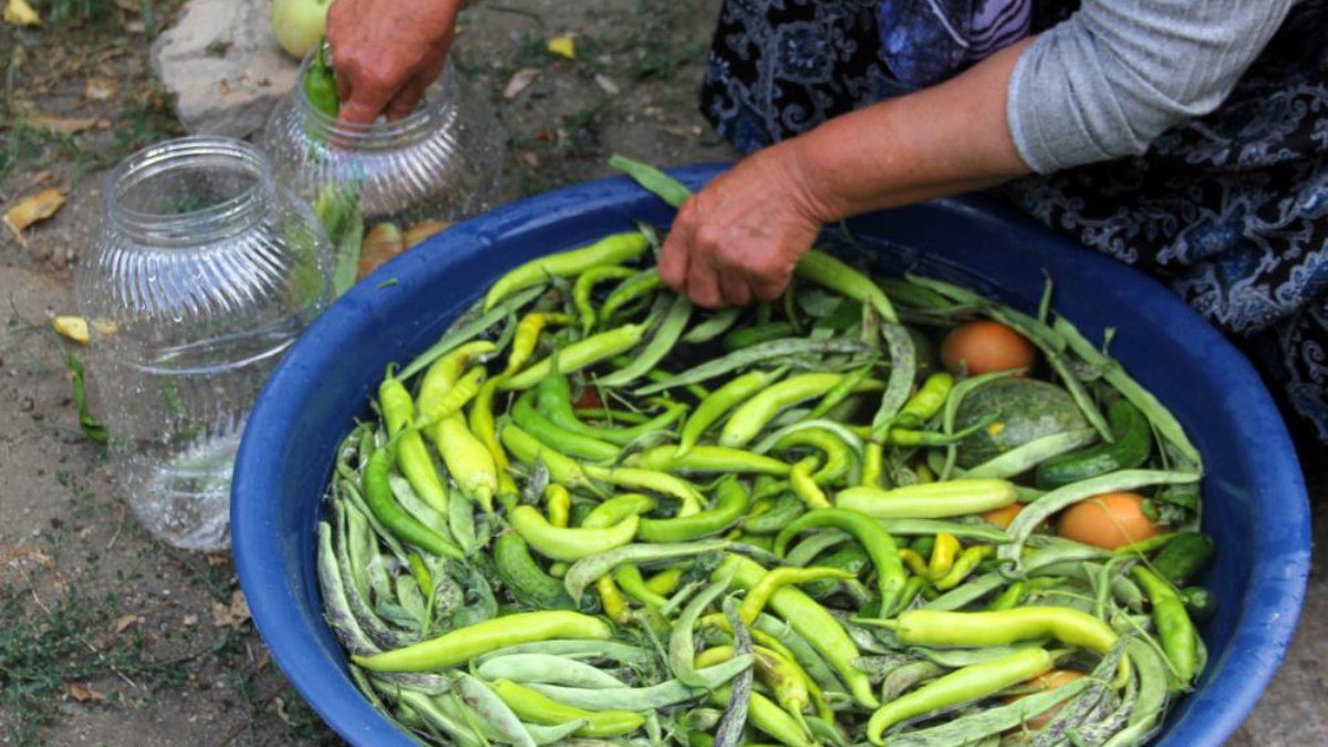 Erzincan’da kadınların turşu mesaisi