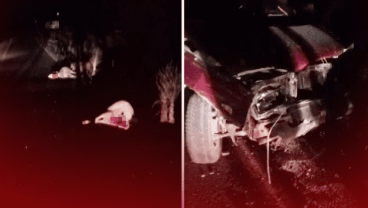 Feci kaza! Koyun sürüsüne daldı…