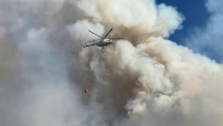 Uşak’taki orman yangını kontrol altında