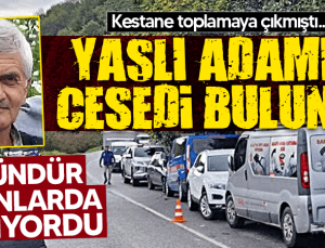 2 gündür ormanlarda aranan adam ölü olarak bulundu!