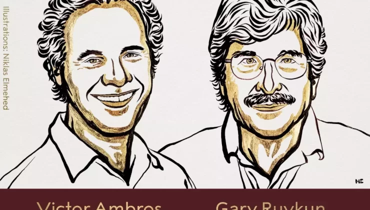 2024 Nobel Tıp Ödülü Sahipleri Belli Oldu