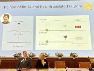 2024 Nobel Tıp Ödülü Sahiplerini Buldu