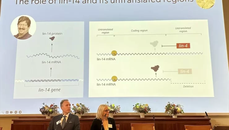 2024 Nobel Tıp Ödülü Sahiplerini Buldu