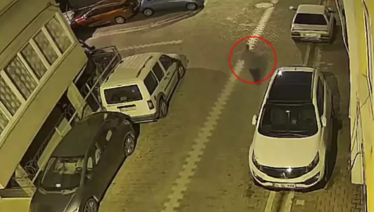 3 aylık hamile kadına evinin önünde taciz! Çığlıkları koca sokağı inletti