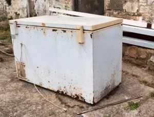 ABD’de bir adamın ücretsiz aldığı derin dondurucudan 19 yıldır kayıp olan genç kıza ait ceset parçaları çıktı