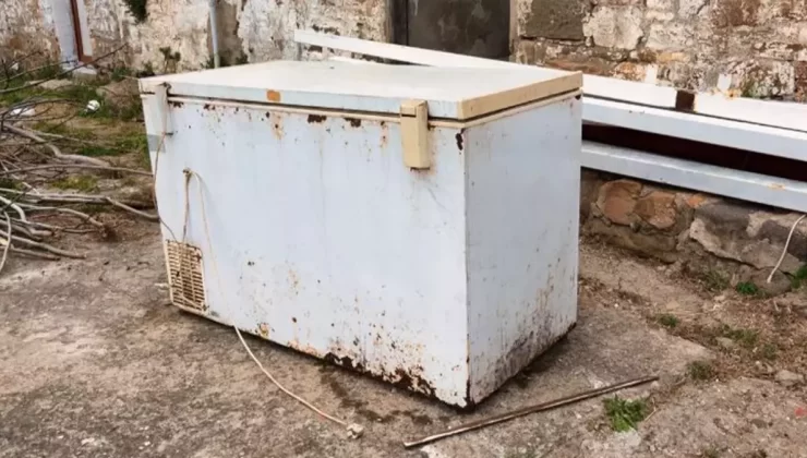 ABD’de bir adamın ücretsiz aldığı derin dondurucudan 19 yıldır kayıp olan genç kıza ait ceset parçaları çıktı