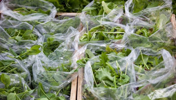 ABD’li araştırmacılar dünyanın en sağlıklı sebzesini açıkladı: Vücudu baştan aşağı temizliyor