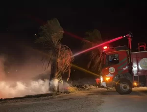 Adana’da Orman Yangını Kontrol Altında