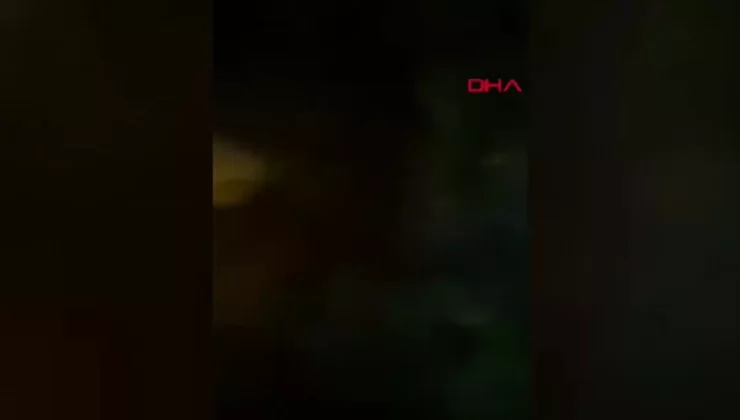 Adana’da Seyhan Baraj Gölü’nde Yangın