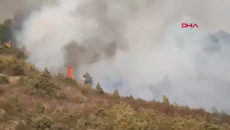 Afyonkarahisar’da Orman Yangını