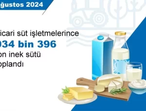 Ağustos’ta Tavuk ve Süt Üretiminde Artış