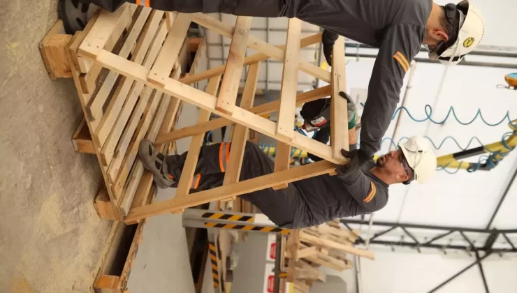 AKCOAT’tan Sokak Hayvanlarına Destek