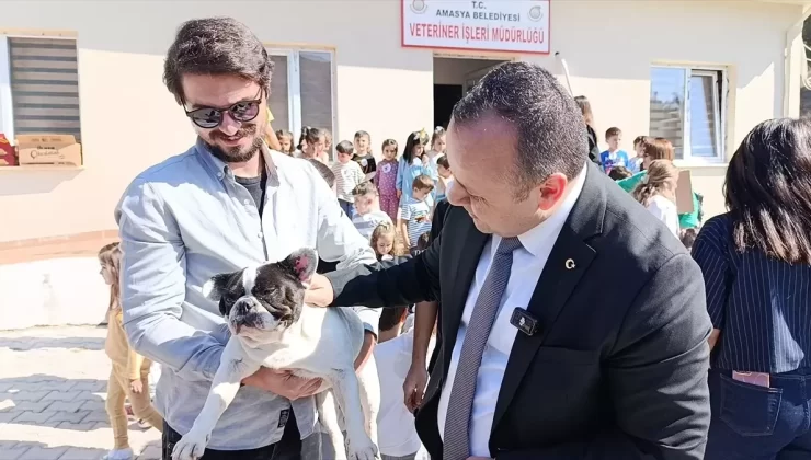 Amasya’da Hayvan Barınağı Ziyareti