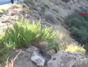 Antalya’da Kaza: Otomobil Şarampole Yuvarlandı