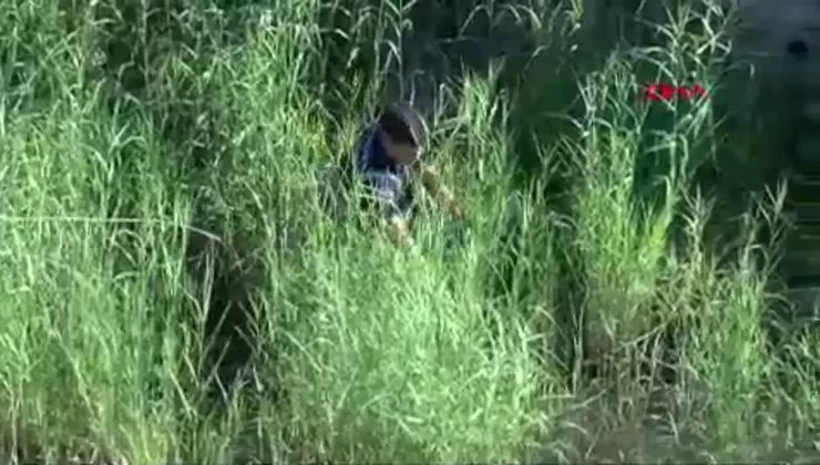 Antalya’da köpek kurtarıldı