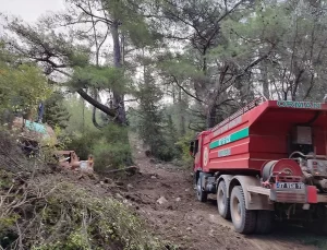Antalya’da Orman Yangını