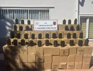Antalya’da Sahte Zeytinyağı Operasyonu