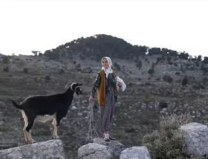 Antik Kentte Çobanlık ve Su Kaynağı