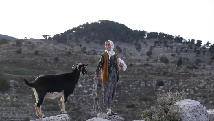 Antik Kentte Çobanlık ve Su Kaynağı