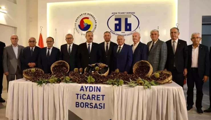 Aydın’da 2024 Kestane Sezonu Başladı