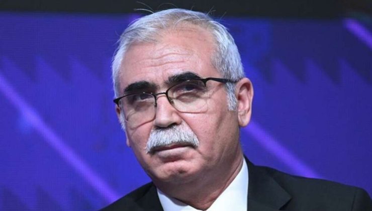 AYM Başkanı Kadir Özkaya, sokak hayvanları yasasıyla ilgili konuştu