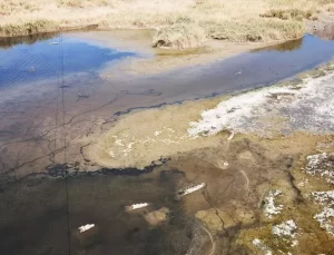 Bafa Gölü’nde Kuraklık Tehlikesi