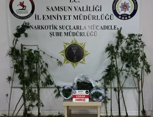 Bafra’da Narkotik Operasyonu: 2 Gözaltı