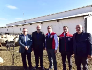 Bakan Yardımcısı Gümen Ahlat’ta Tarım Tesislerini Ziyaret Etti