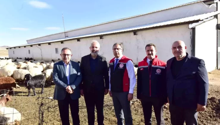 Bakan Yardımcısı Gümen Ahlat’ta Tarım Tesislerini Ziyaret Etti