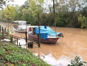 Bartın’da Sağanak, Irmakta Taşkın