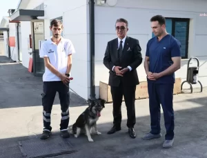 Başkan Mutlu, Hayvanları Koruma Günü’nde Barınaktan Köpek Sahiplenerek Örnek Oldu