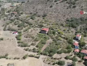 Başkentli Çiftçiler ‘Yeşil Altın’ İçin Aşılama Desteği Bekliyor