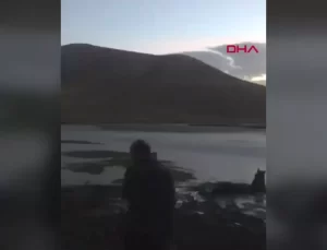 Bataklıktaki Yılkı Atı Kurtarıldı