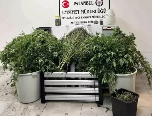 Beylikdüzü’nde Uyuşturucu Operasyonu