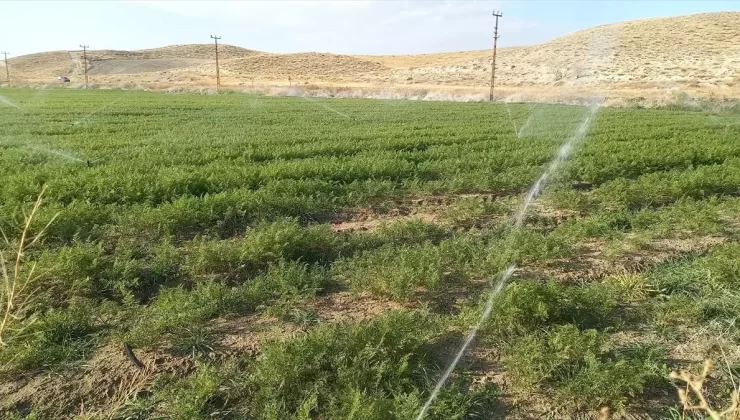 Beypazarı’nda Sabah Namazı Buluşması