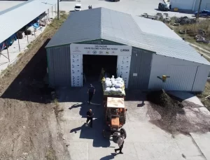 Bilecik’te Ceviz Üretimi İki Katına Çıktı