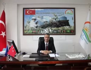 Bilecik’te Kahverengi Kokarca Uyarısı