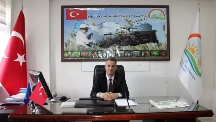 Bilecik’te Kahverengi Kokarca Uyarısı