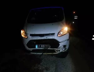 Bilecik’te Koyun Kazası: Araç Hasar Gördü