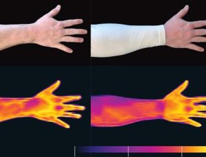 Bilim insanlarından şaşırtıcı keşif: Sivrisinekler insanları takip etmek için kızılötesi kullanıyor