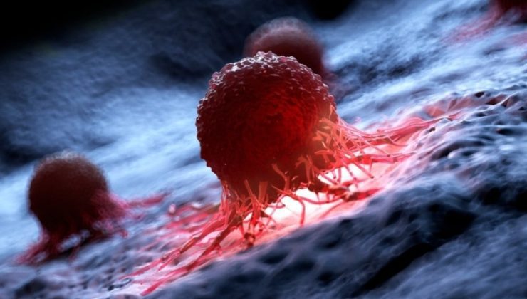 Bilim insanlarından yeni buluş: Kanserli hücrelerin yüzde 99’u yok edildi