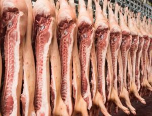 Bilmeden domuz eti yemenin hükmü