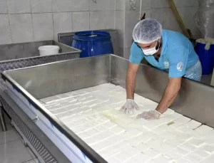 Bitlis’te Süt Ürünleri Üreten Fabrika Açıldı