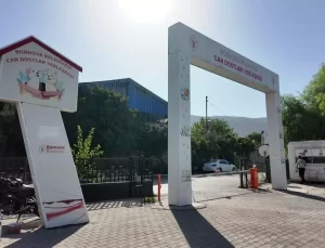 Bornova’da 4 Ekim Hayvanları Koruma Günü Coşkuyla Kutlandı